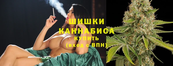 гидра Богородск