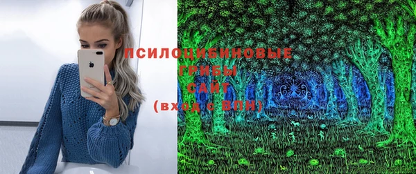 спайс Мегион