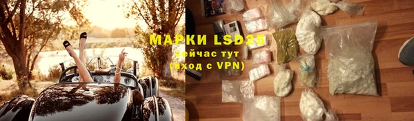 apvp Магадан